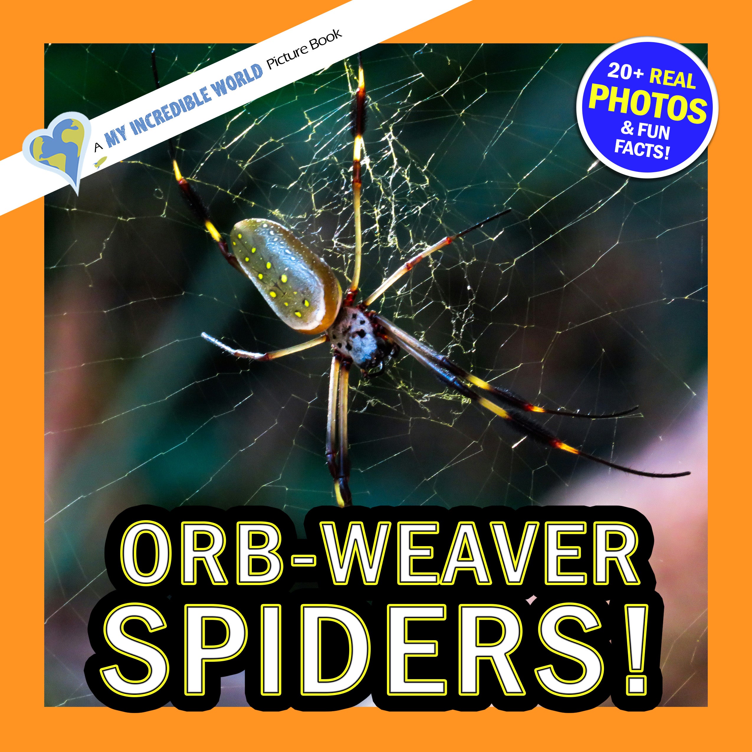 Orb-Weaver Spiders! A My Incredible World Picture Book for Children